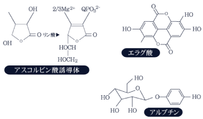 メラニン色素の合